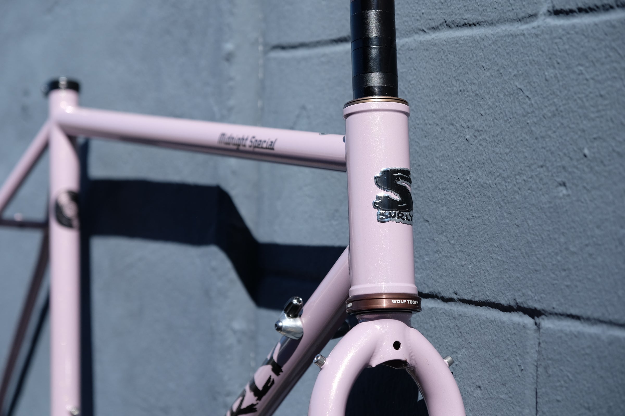 Surly Midnight Special 54cm - Frameset | Slow & Steady!
